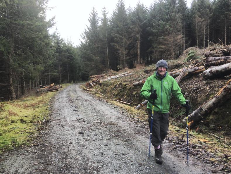 Widespread support for an independent State agency for forestry