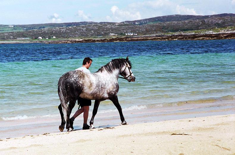 Ringside stories: A picture paints a thousand words  