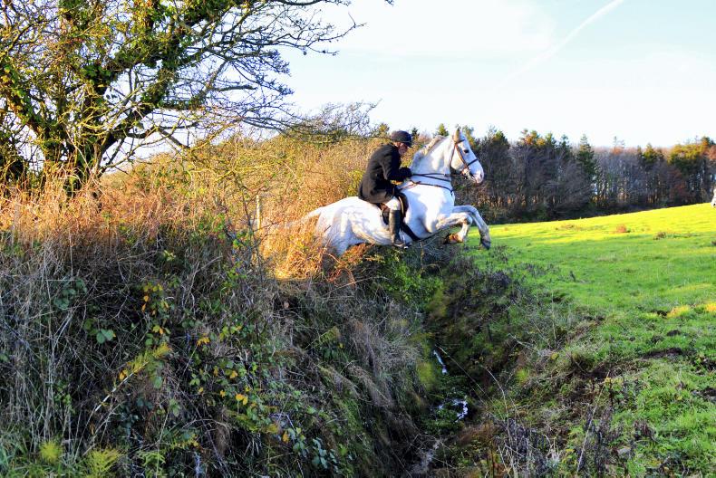 2018 BREEDING ADVICE: Lambert the legend