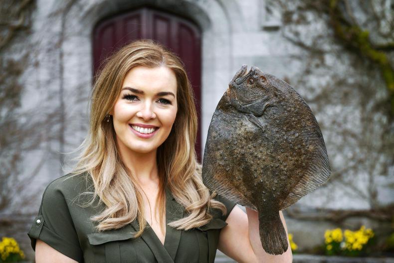 Ciara's Country Flavours: all your foodie news