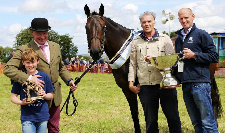 Ringside Stories: Gill's golden memories