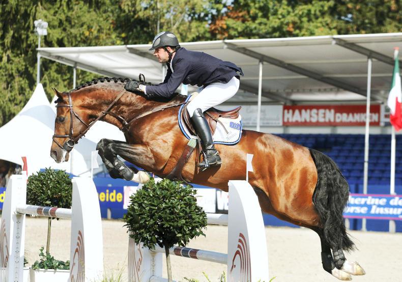 2018 BREEDING ADVICE: Variety is the spice of life 