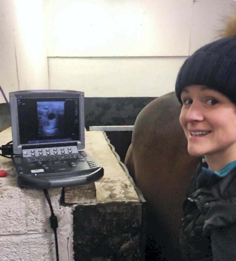 2018 BREEDING ADVICE: Pros and cons of modern breeding techniques 