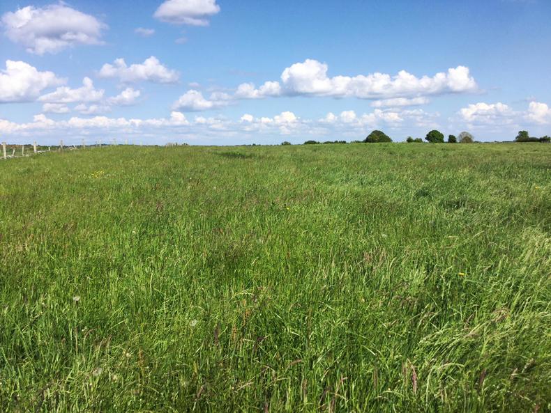 €1.05m for 100 acres in the midlands                  