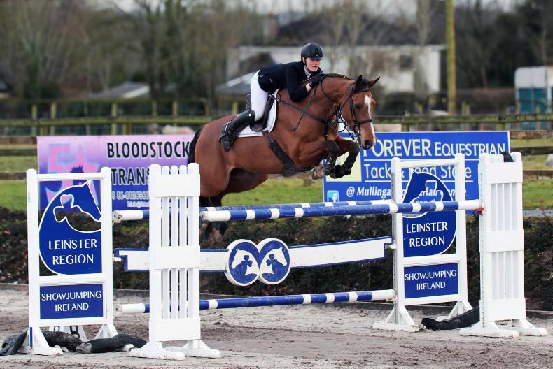 Burke and Vivaro are top of the class at Mullingar