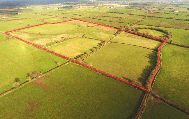 Dairy farmer pays over €14k/acre in highlight sale