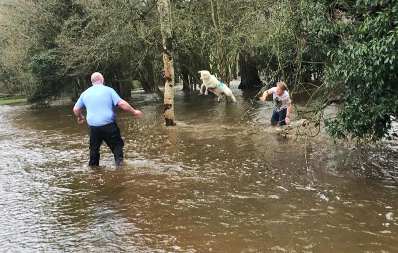 In pictures farmers rescue sheep from flood 30 November 0001 Free