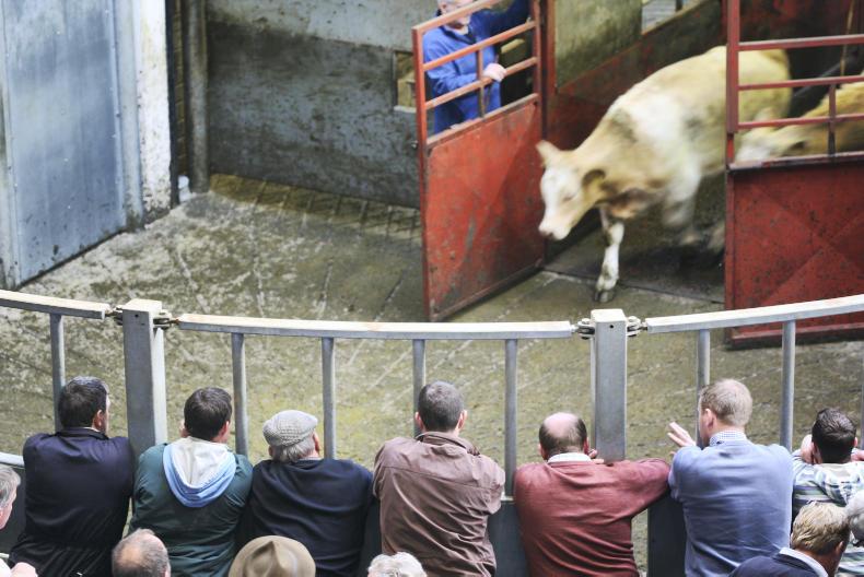 Keep out: marts move on safety issues