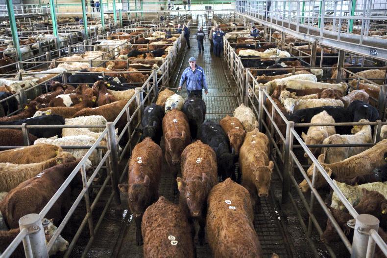 Marts ban farmers from cattle lairages