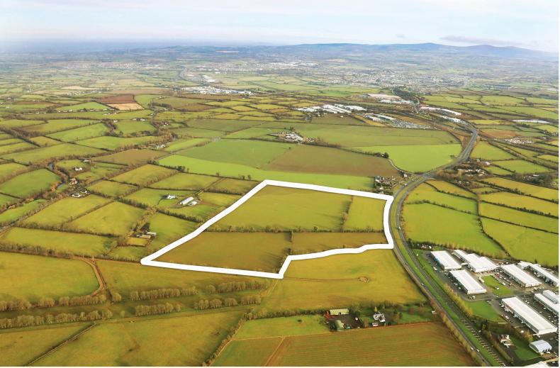 24,000/acre in Kildare the highlight as auctions picks up 