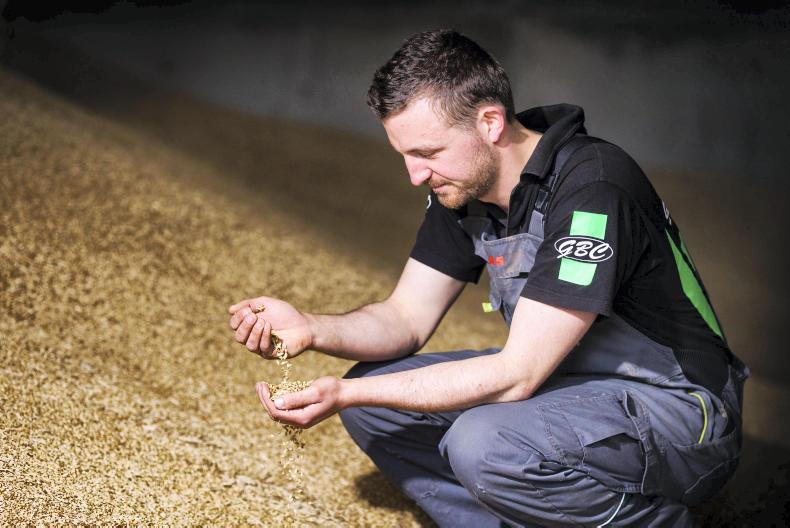 Benefiting the family farm with international experience