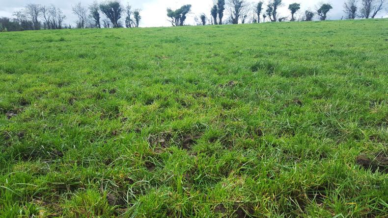 News in brief from Northern Ireland