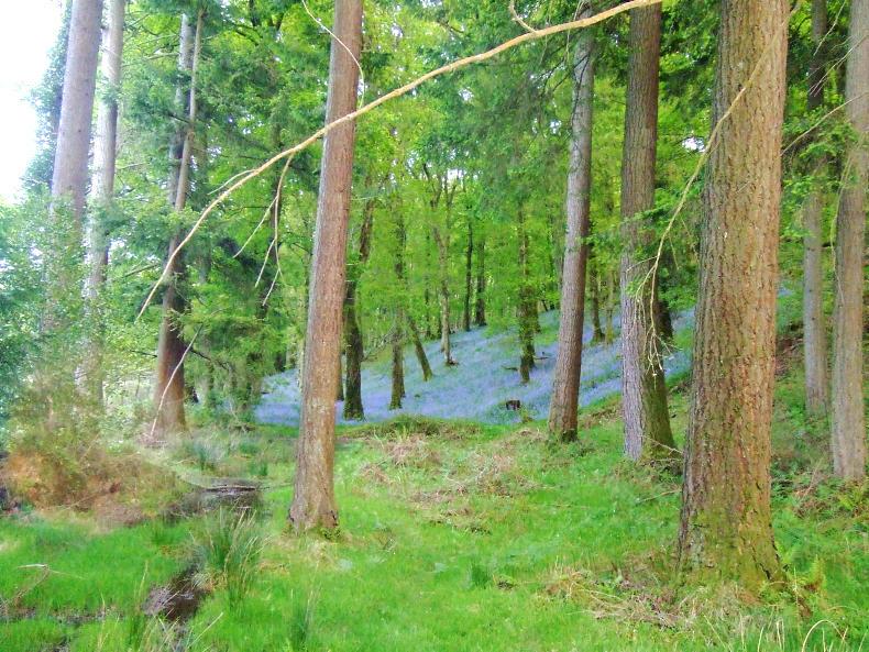 A busy time for the beekeeper