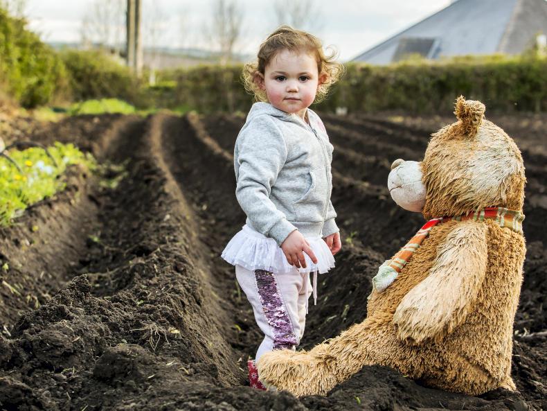 Irish Farmers Journal nightly news: possible ANC cuts and rural crime