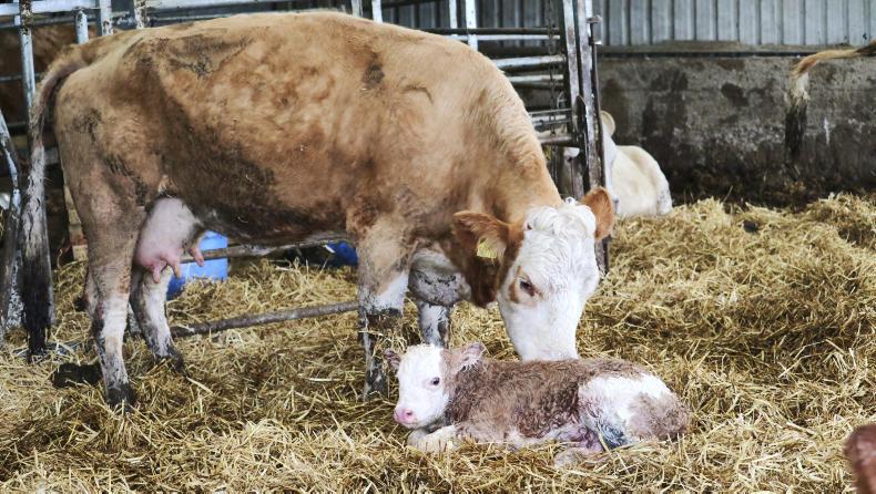 Farm Profit Programme: No room for passengers at Arnage