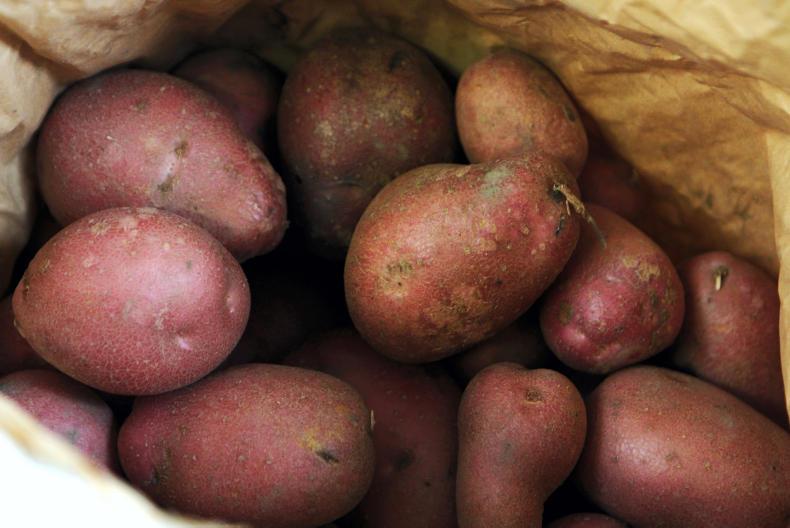Research shows that GM potatoes have reduced impact on the environment 