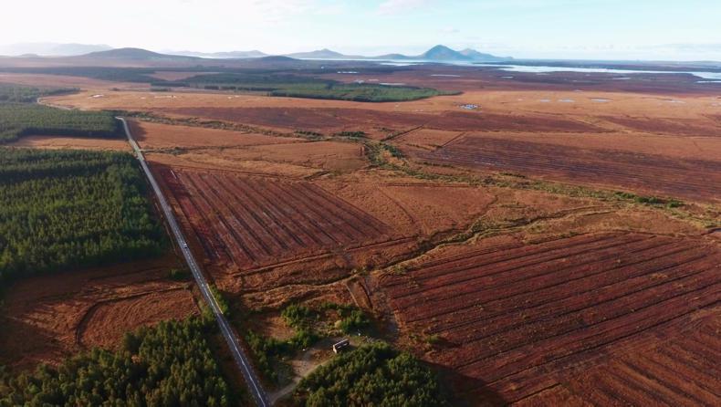 Bord na Móna reinforces bog rehabilitation programme