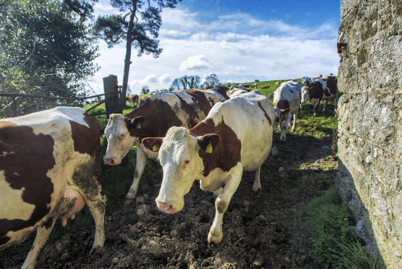 Social farming on the agenda of women in farming meeting