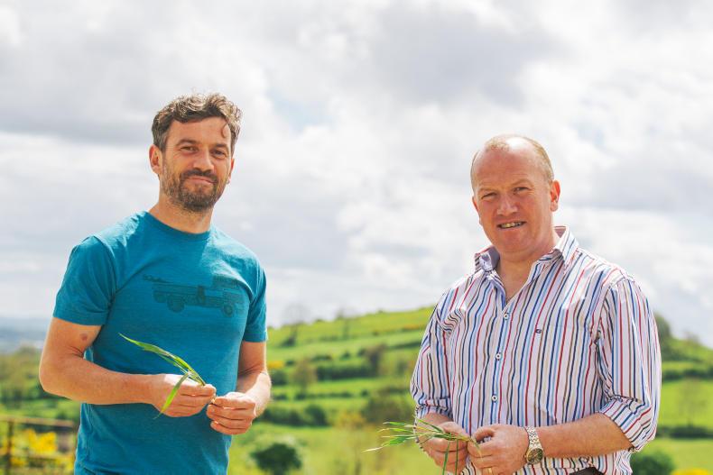 Brothers in grain: Fintan and Turlough Keenan