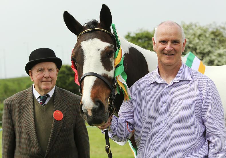 Showman triumphs at Athenry                             