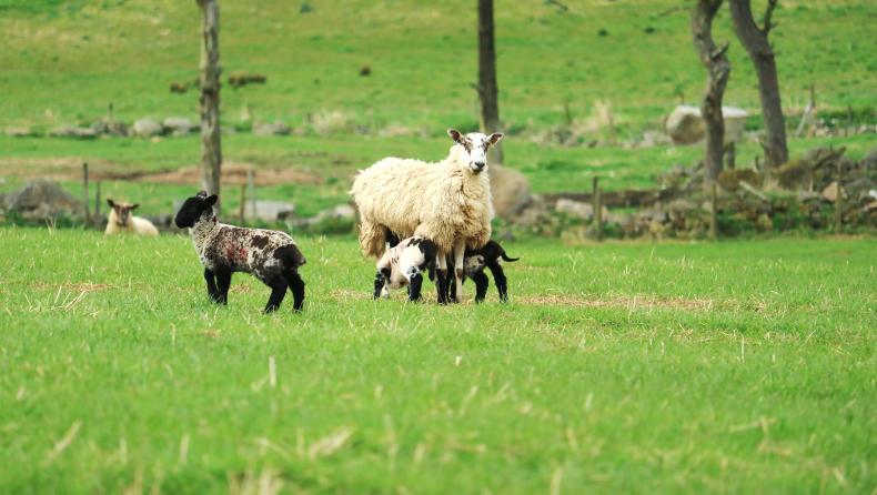 Cork farmers living under CPO – for 10 years 