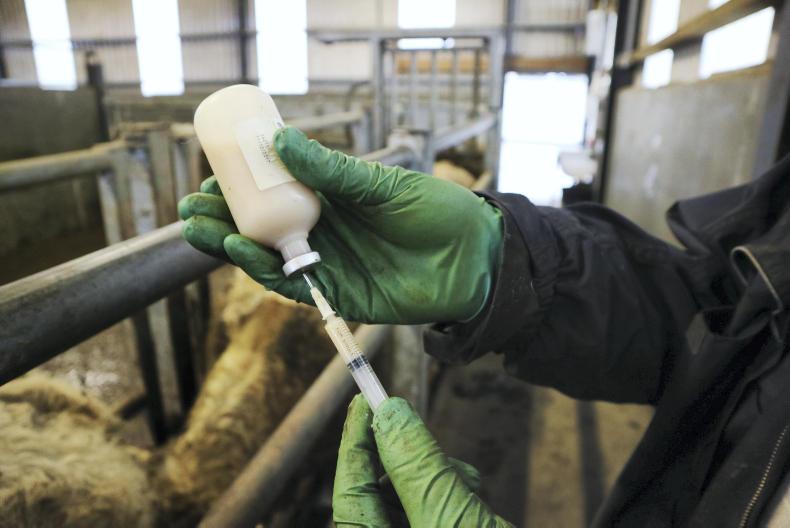 New restrictions on antibiotic usage on farms 06 June 2018 Free