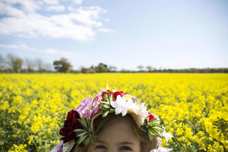 Big plans ahead for Cork Summer Show 