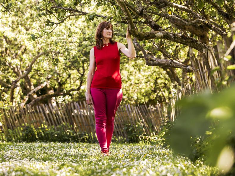 Running a business in a bee-loud glade