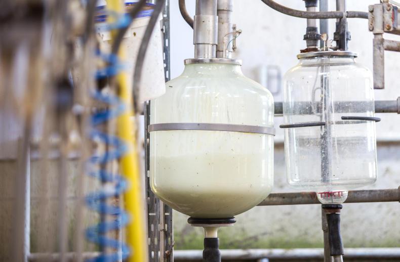 Skimmed milk powder prices boosting dairy markets