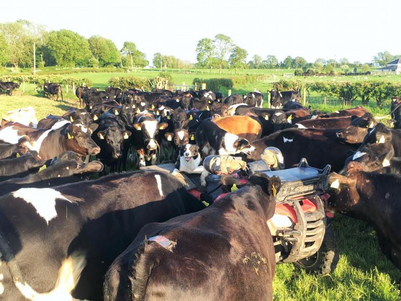 Farmer Writes: early bird catches the worm