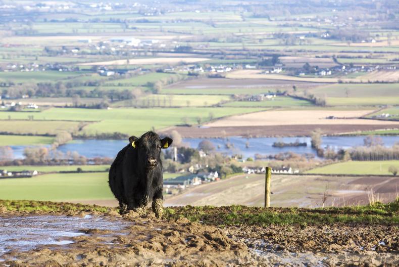 Concerns over water contamination from farms 20 June 2018 Premium