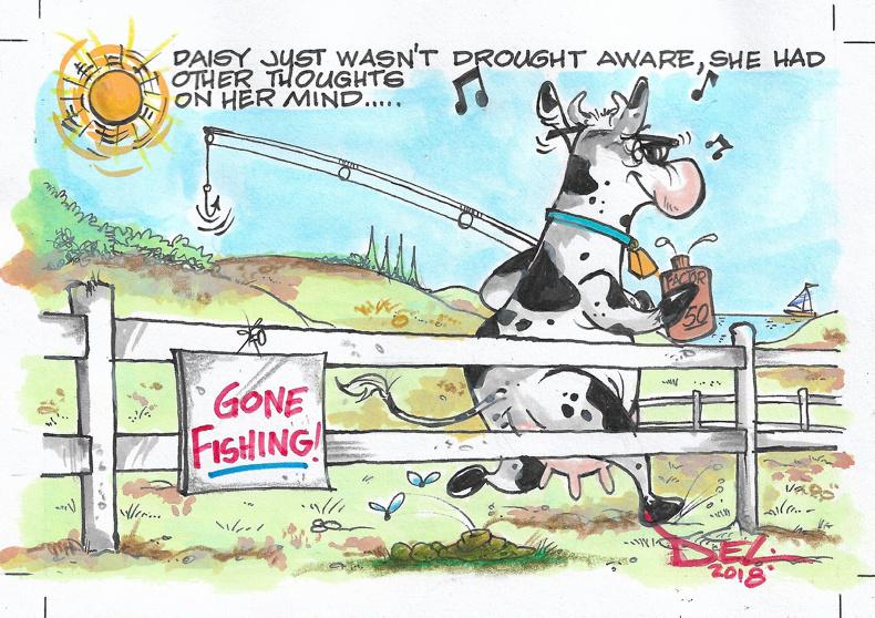 Katherine's Country: Managing the drought