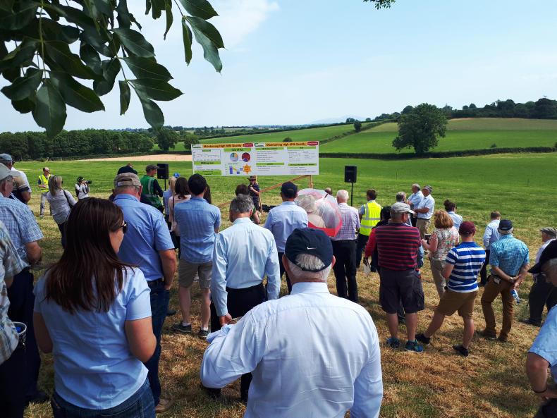 Walsh family excels in Tipperary sunshine