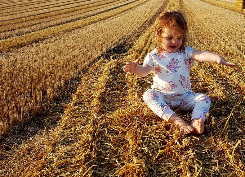 Around the country in pictures                              