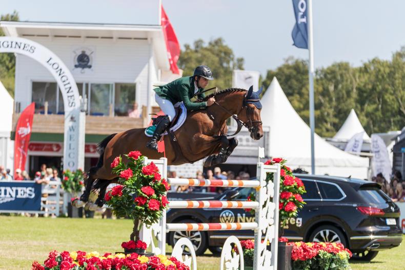Irish show jumpers shine in Sweden                         