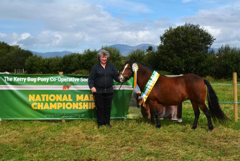 Backchat: Big day out at Iverk Show