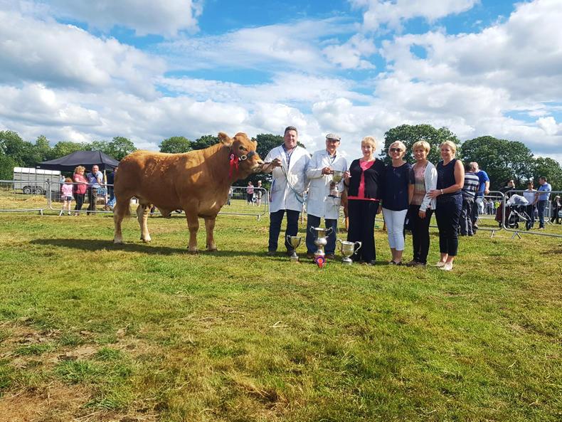 In pictures: champions lineup at Arva Show 