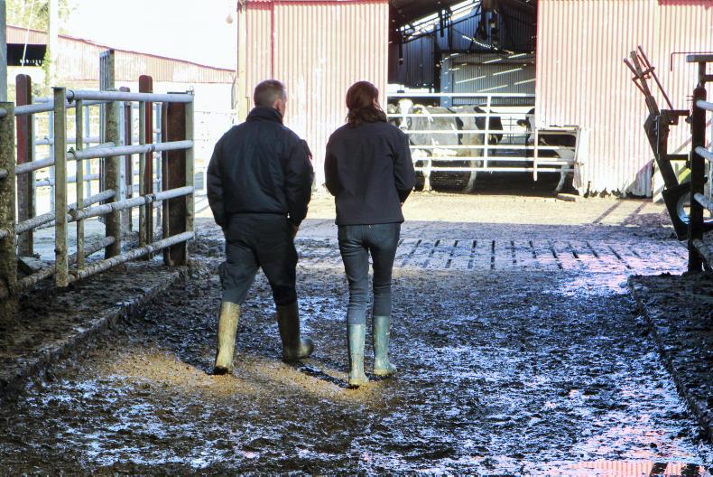 Inspections looming for DAERA Environmental Farming Scheme