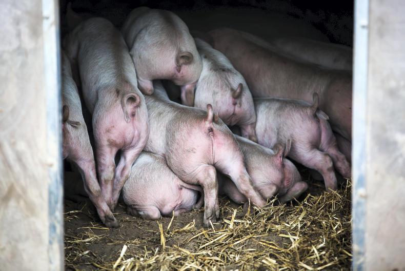 Agri jobs: IFA hiring regional officers and general workers in high demand