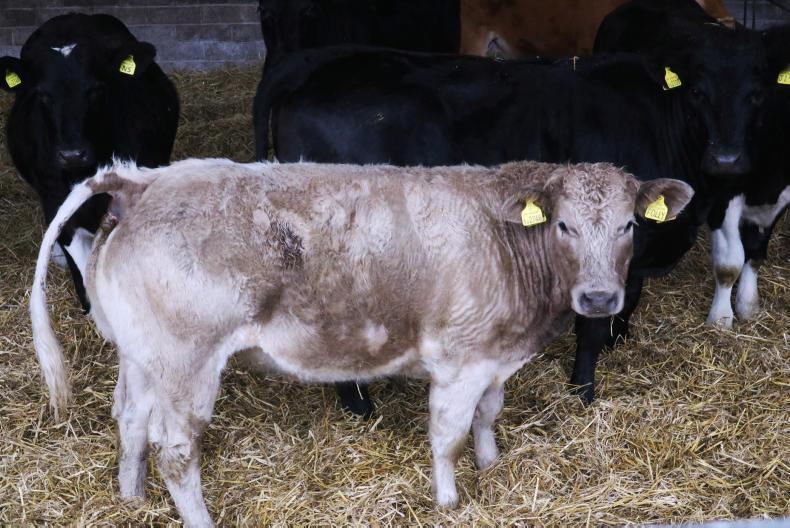 Securing farming experiences for the future