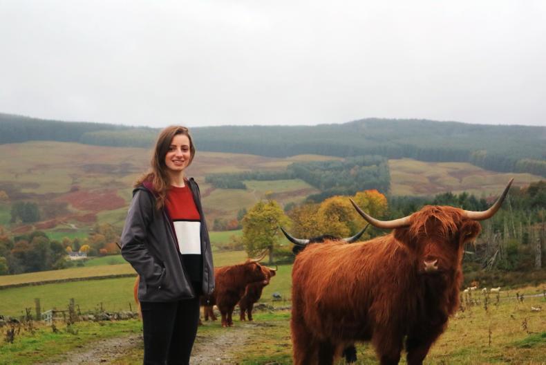 Connecting farming with the local community