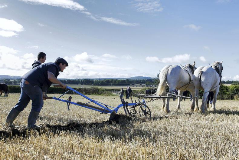  History of the National Ploughing Championships   