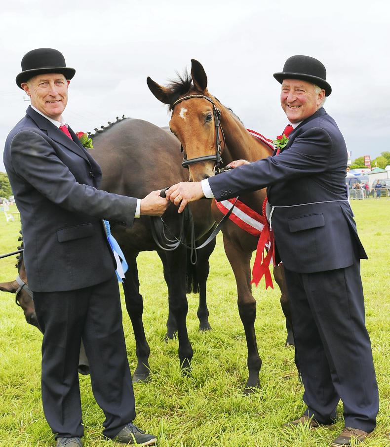 PJ Lehane's Munther filly shines at Moate     