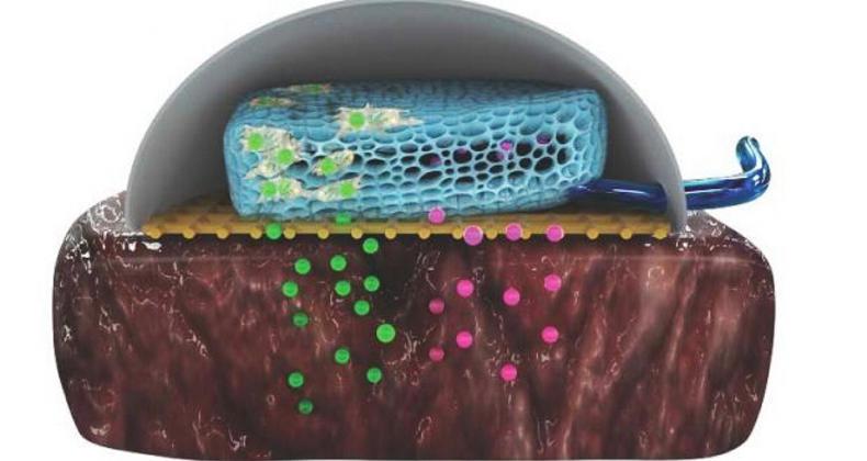 Healthbytes: Fair Deal update, skin cancer and more 