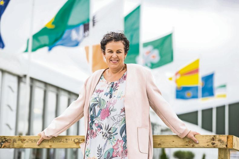 Ploughing through the eyes of Anna Marie McHugh