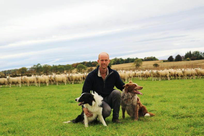 Long read: putting lessons learned from around the world to good use