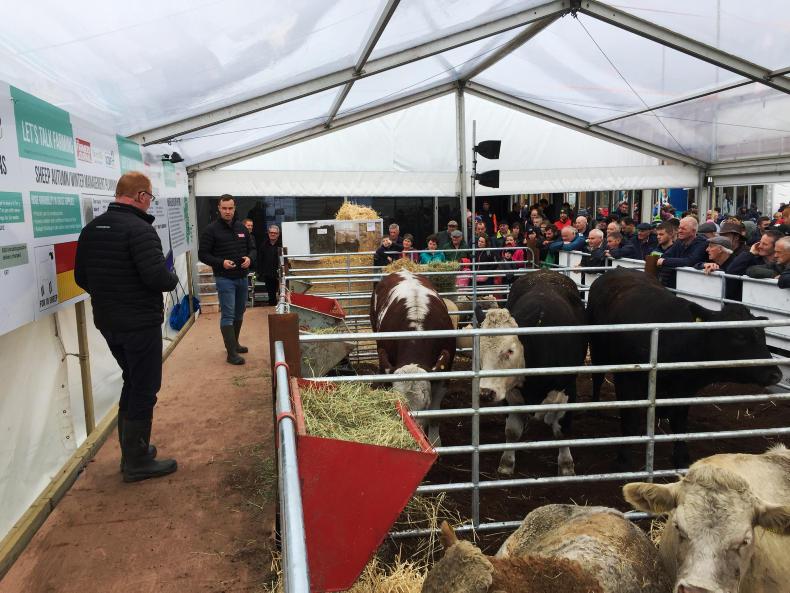 Fodder demo pulling the crowds at the Ploughing