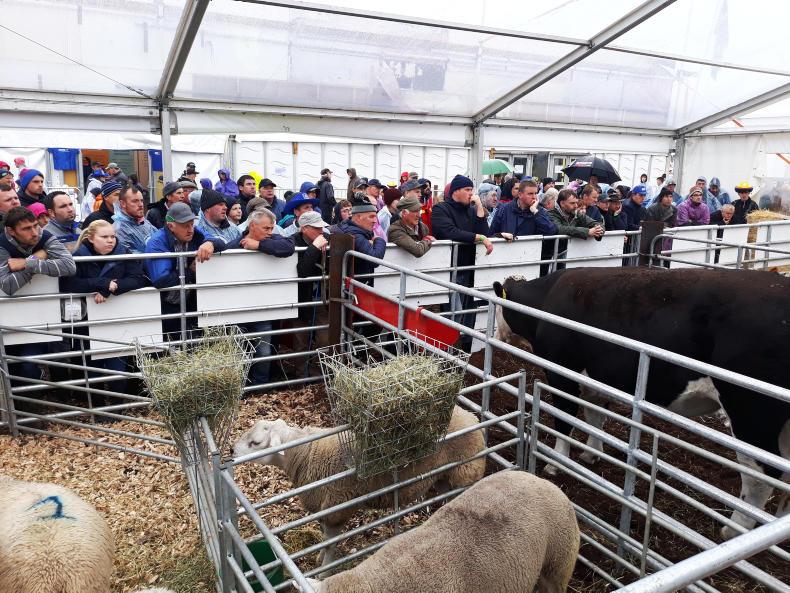 Let’s Talk Farming demo looks at dealing with tight straw supplies 