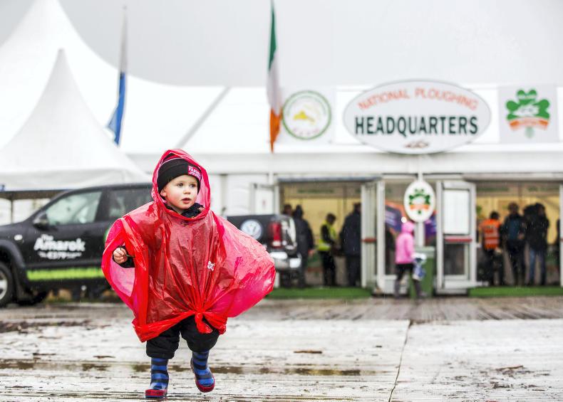 Good week/bad week: the winners and losers in Irish farming 