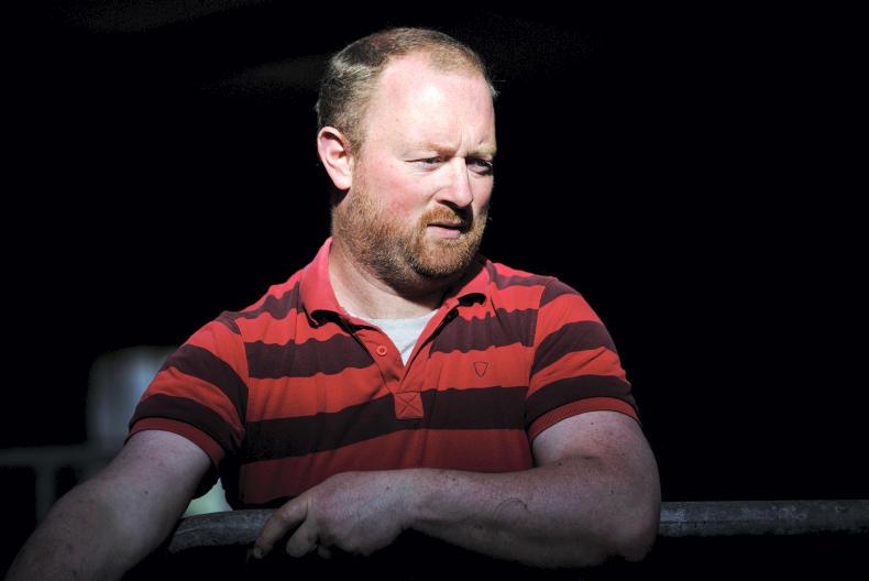 Farmer Writes: a watershed year for Irish farming